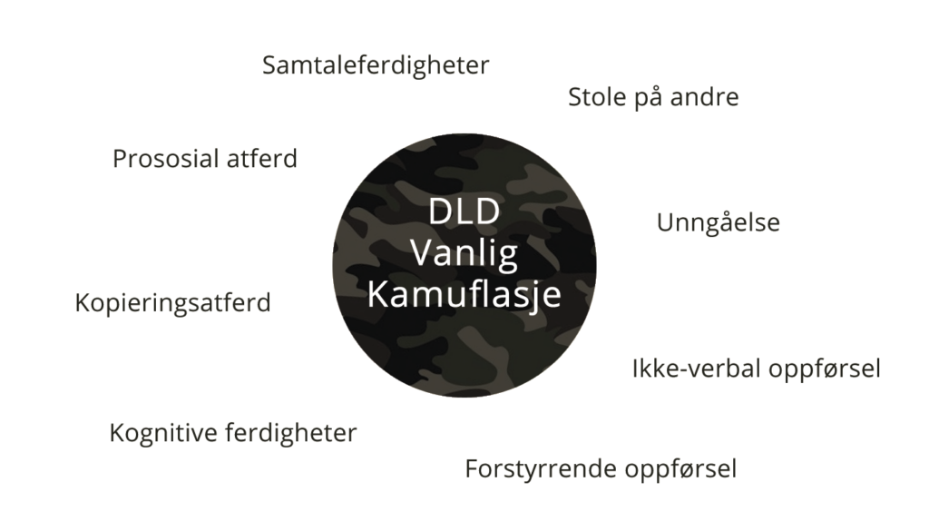 Kamuflasje DLD Norge